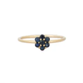 14K Yellow Gold Sapphire Ring